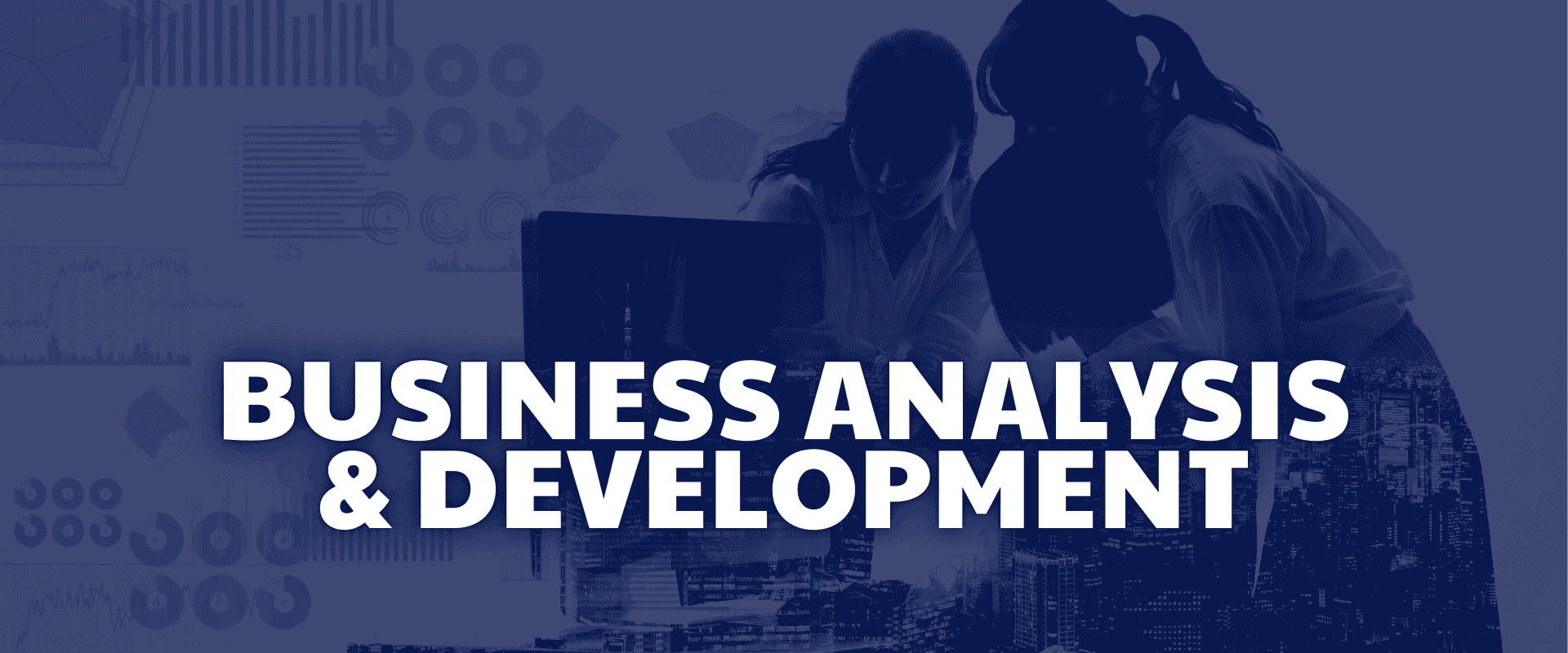 Business Analysis & Development HaxyGen